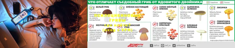 Псилоцибиновые грибы мицелий  Зеленодольск 